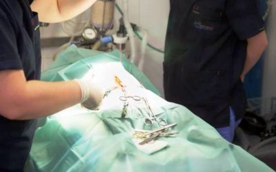 Lágyszervi sebészet – Műtétek