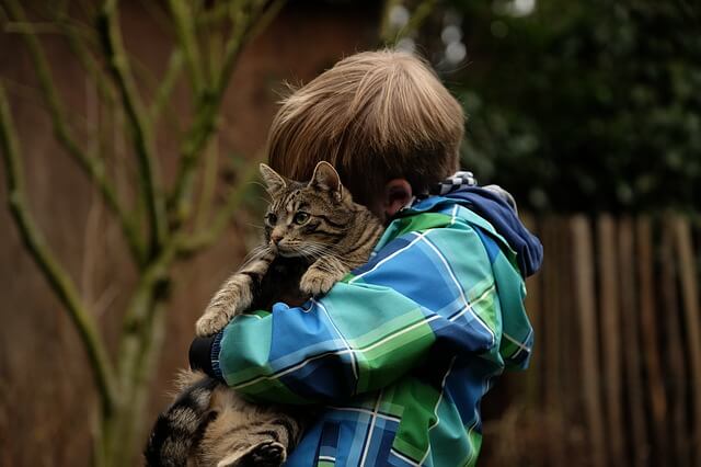 gyerek mellett háziállat